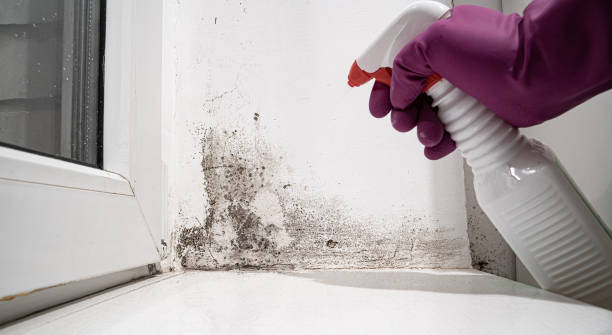 Carpet water damage restoration